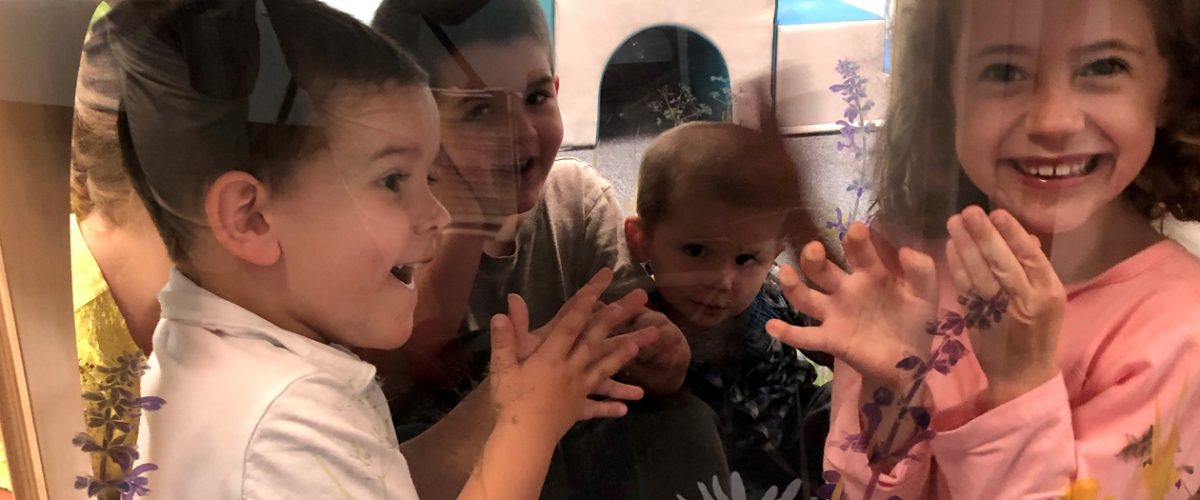 Parent and Child Playgroups